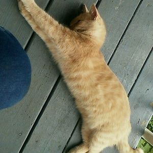 Meet your Posher, Crystal